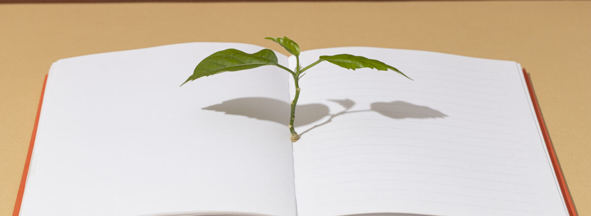 Une plante poussant entre les pages d'un livre