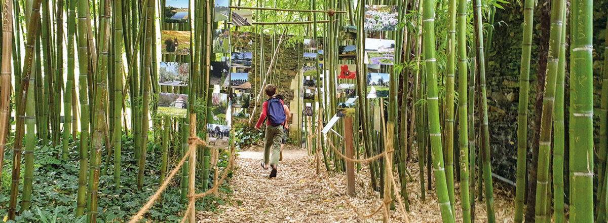 L'exposition installée à l'Arboretum d'Angers en septembre 2020.