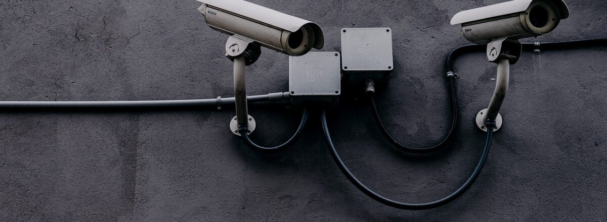 Chez Orwell, Big Brother surveille tout